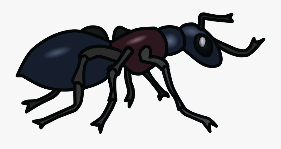 Transparent Ant Clipart - Clip Art Black And White Ant, Transparent Clipart