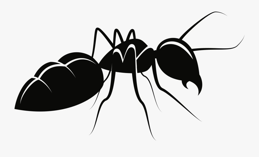 Fly,ant,silhouette - Ant Clipart, Transparent Clipart