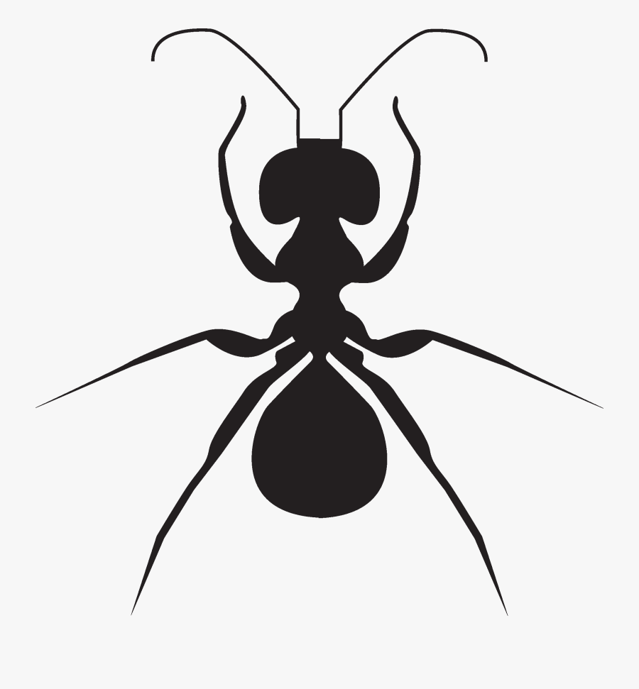 Ant Clipart , Png Download - Ant, Transparent Clipart