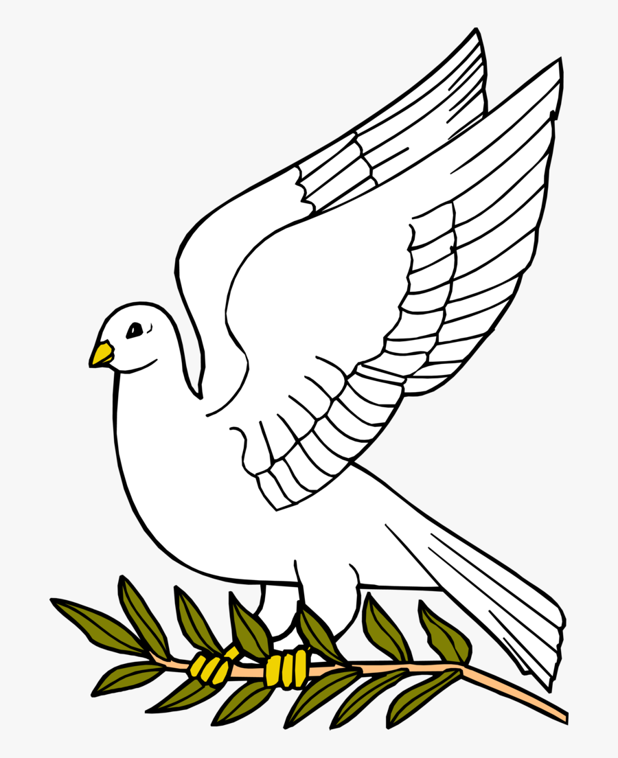 Free Outline Of Download Clip Art On - Dove With Olive Leaf, Transparent Clipart