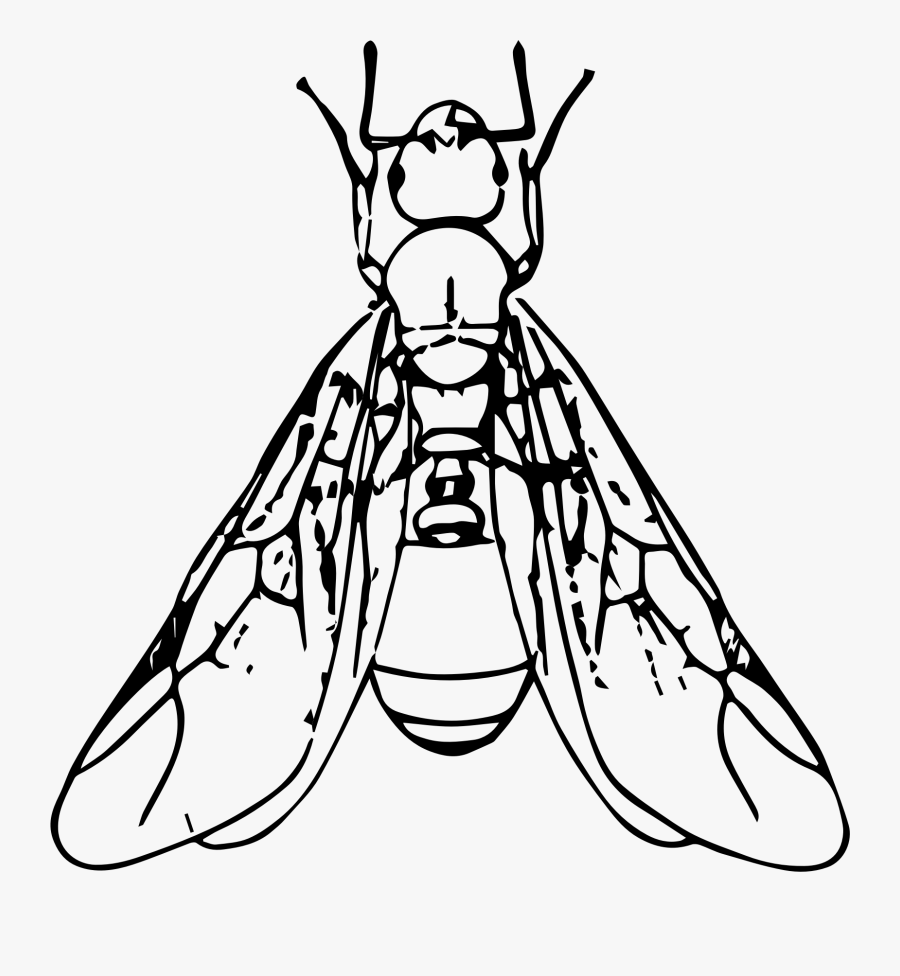 Ant Black And White Clipart Winged Ant - Ants With Wings Clipart, Transparent Clipart