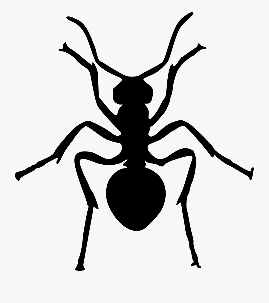 Ant Silhouette - Silhouette Ant Clipart, Transparent Clipart