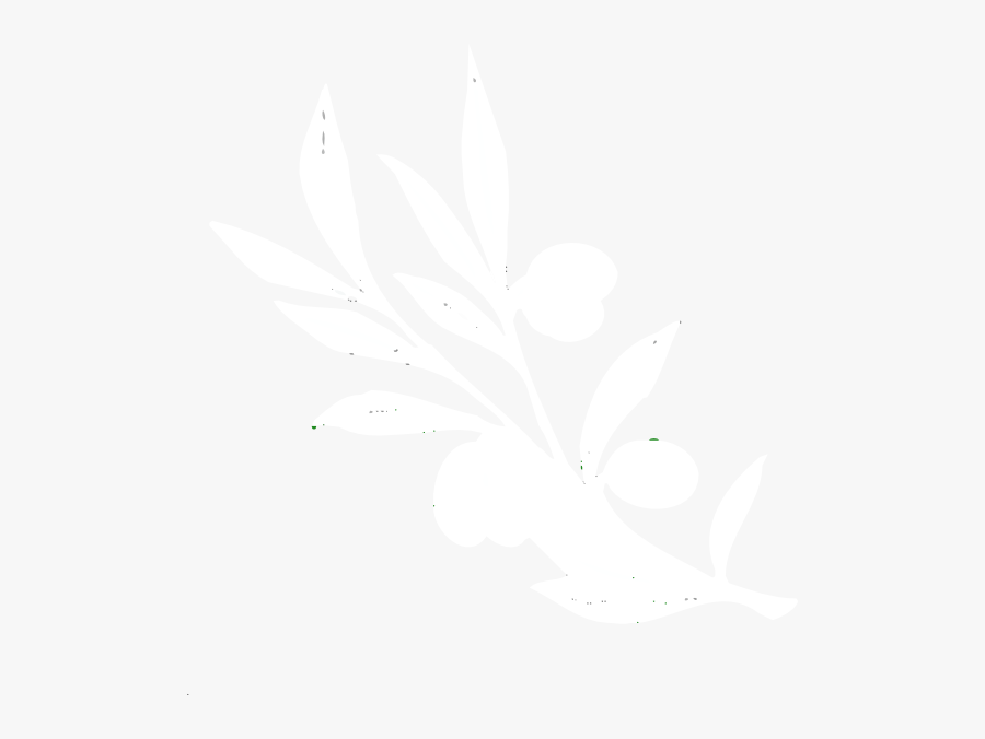 Olive Branch White Transparent, Transparent Clipart