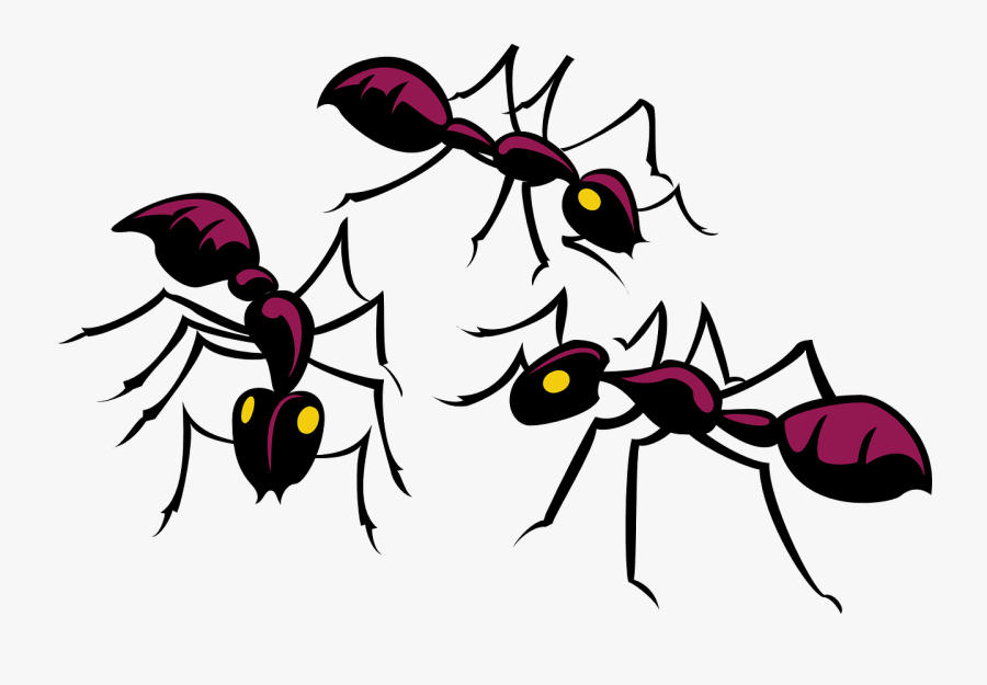 Ants Clipart, Transparent Clipart