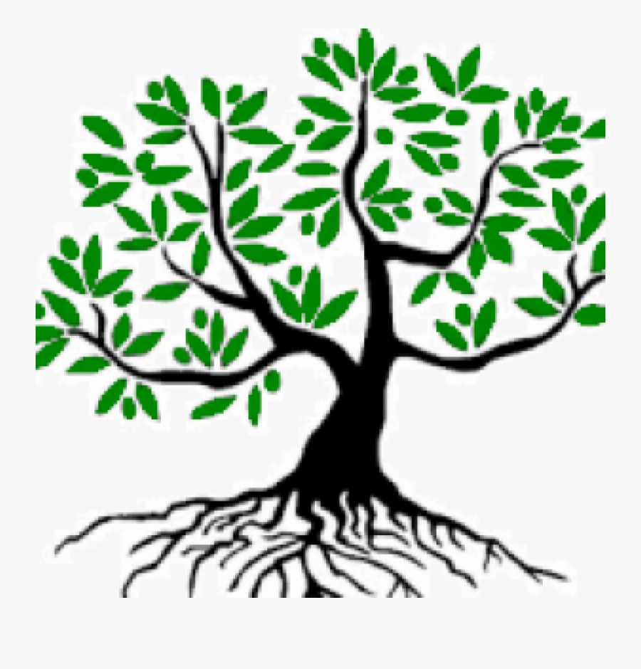 Good Tree ~ شجرة طيبة - Olive Tree Initiative, Transparent Clipart
