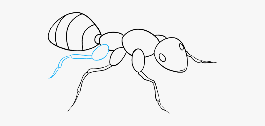 Ant Clipart Drawn - Easy Simple Ant Drawing, Transparent Clipart