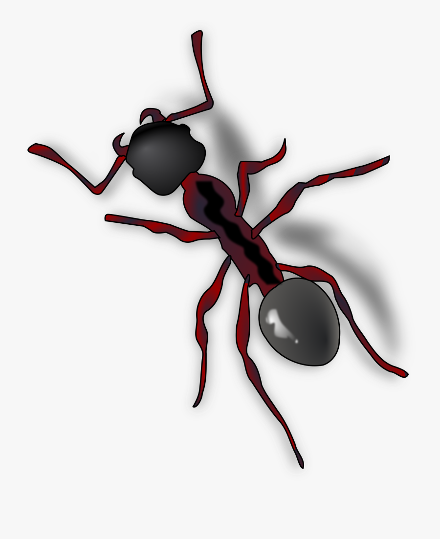 Ant Clip Art, Transparent Clipart