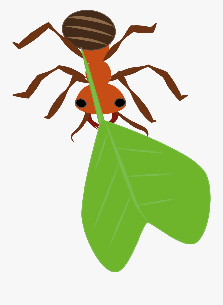 Clip Art, Transparent Clipart