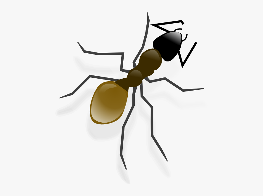 Ant Clip Art, Transparent Clipart