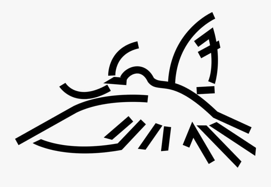 Vector Illustration Of Dove Of Peace Bird Secular Symbol, Transparent Clipart