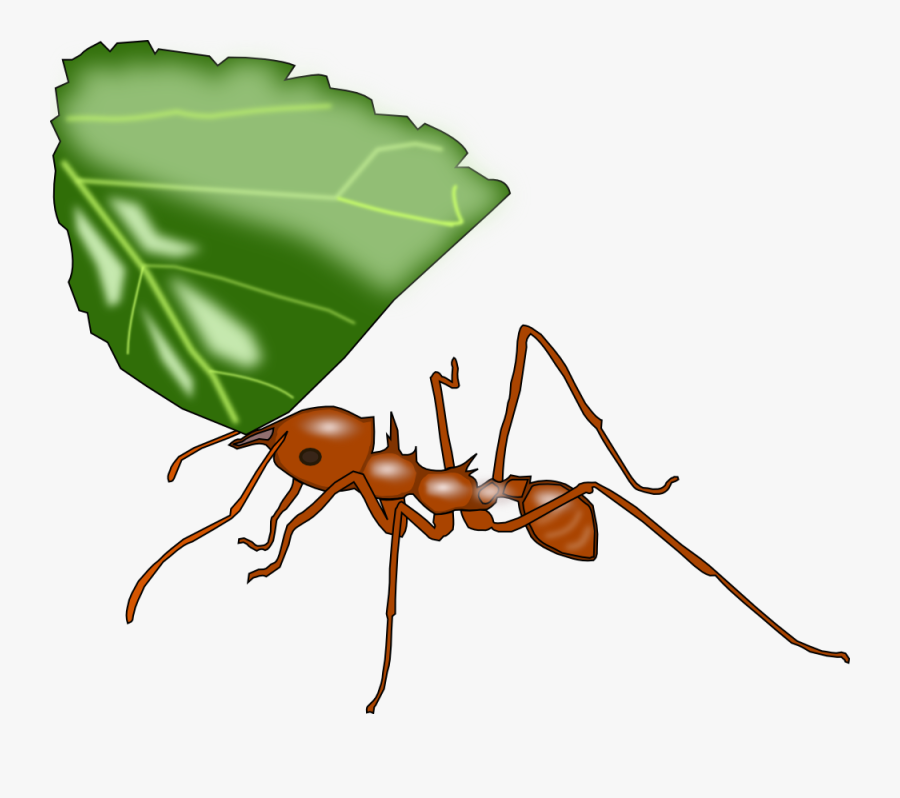 Atta Ant - Ant Carrying Leaf Clip Art, Transparent Clipart