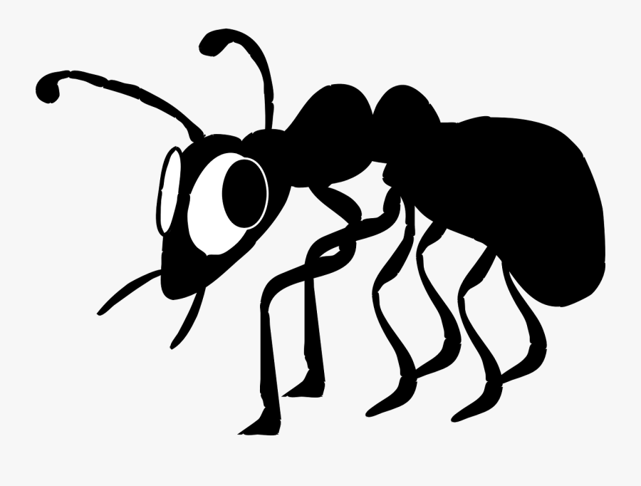 Ant Clipart Small Animal - Ant Clip Art, Transparent Clipart