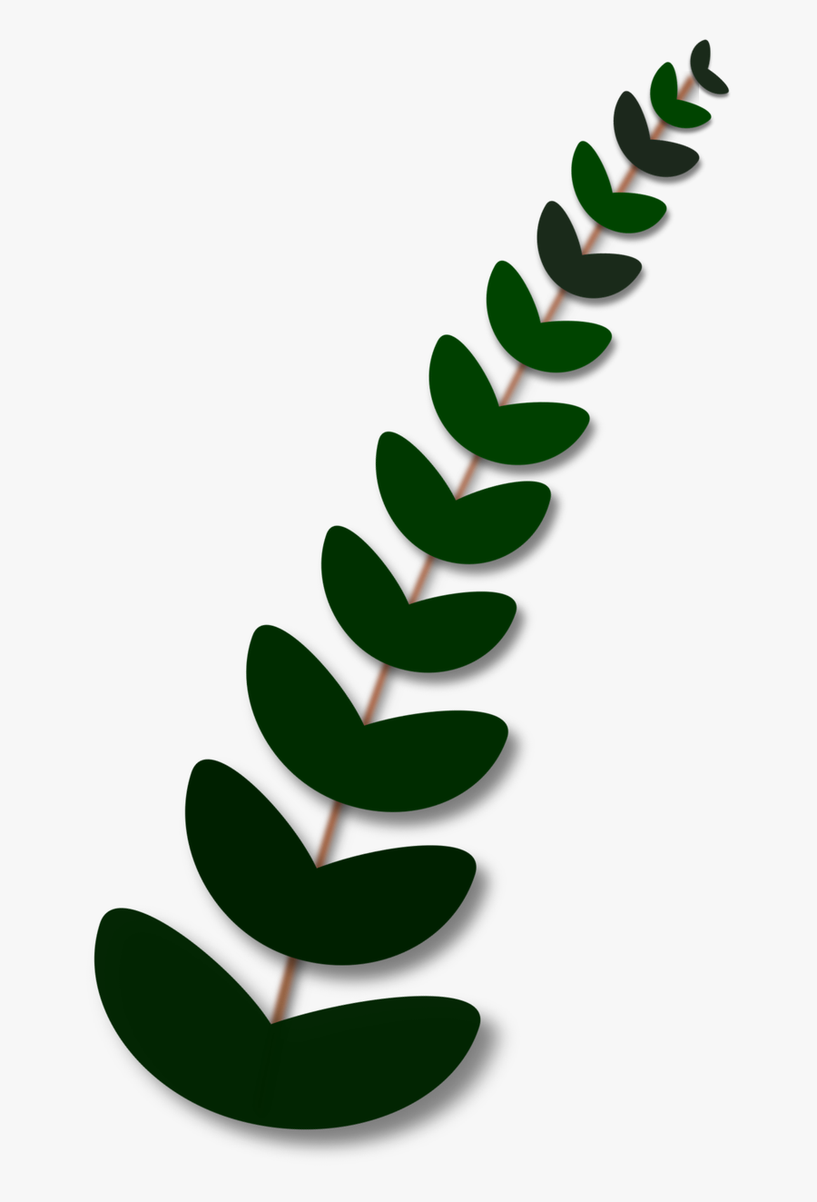 Rama De La Paz, Transparent Clipart