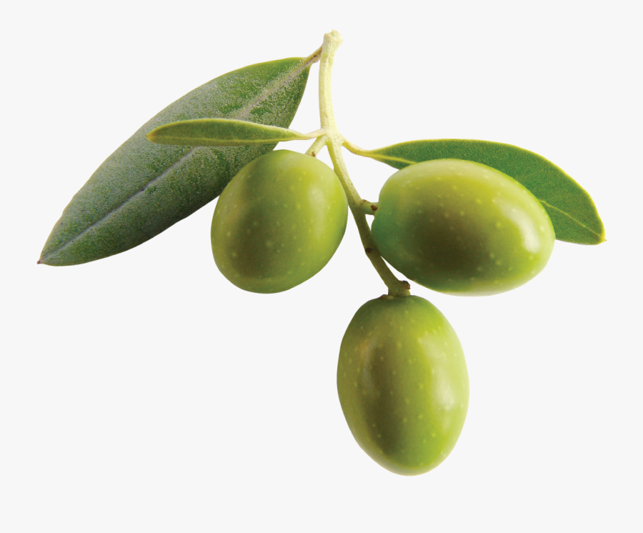 Olive Clipart Mart - Olive Png, Transparent Clipart