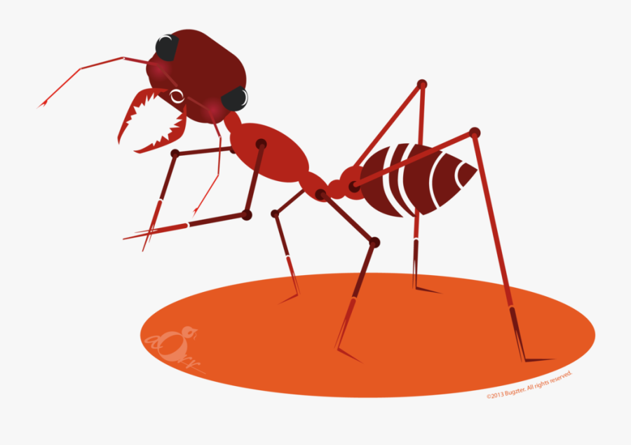 Bugzter Cool Bugs Insect - Charley Harper Insect Design, Transparent Clipart