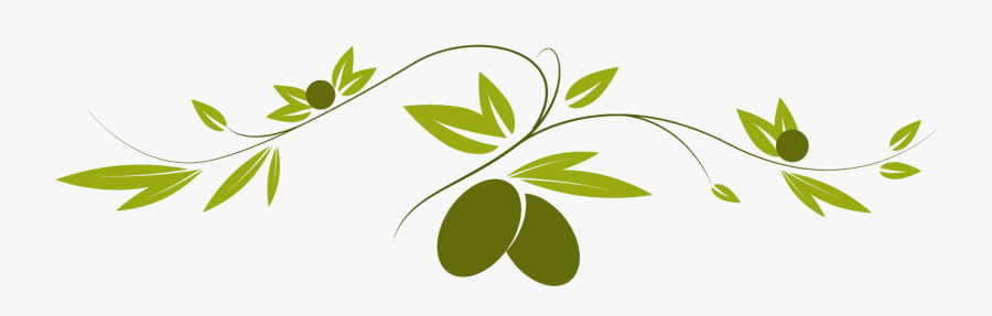 Transparent Olive Branch Png - Mediterranean Olive Branch Clipart, Transparent Clipart