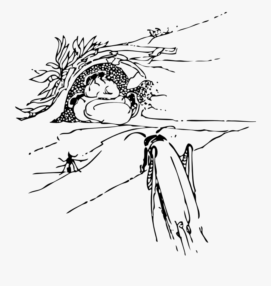 Ant And Grasshopper - The Ant And The Grasshopper, Transparent Clipart