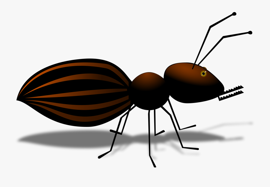 Fly,ant,invertebrate - Ant, Transparent Clipart