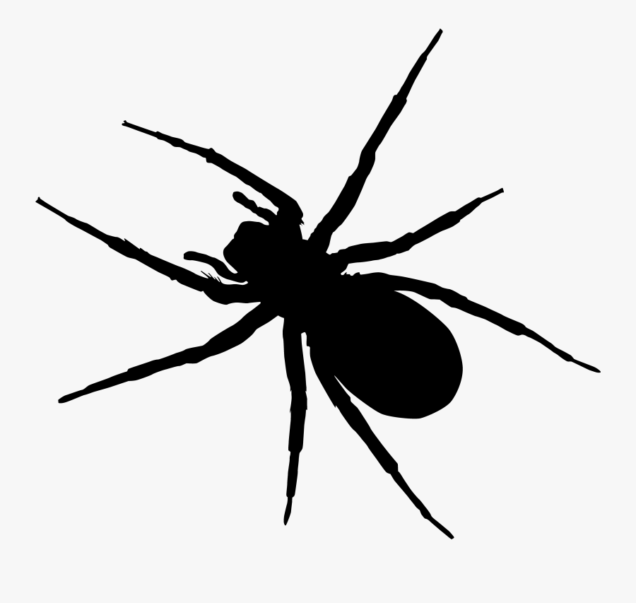 Svg Royalty Free Download Man Clip Art Transprent Png - Spider Vector Png, Transparent Clipart