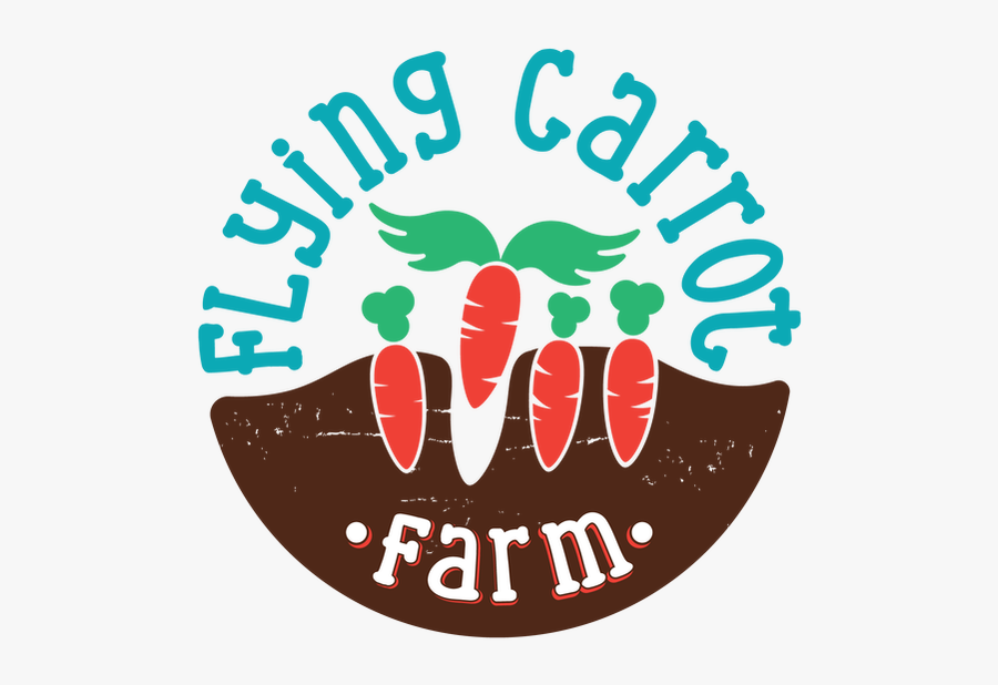 Picture - Illustration, Transparent Clipart