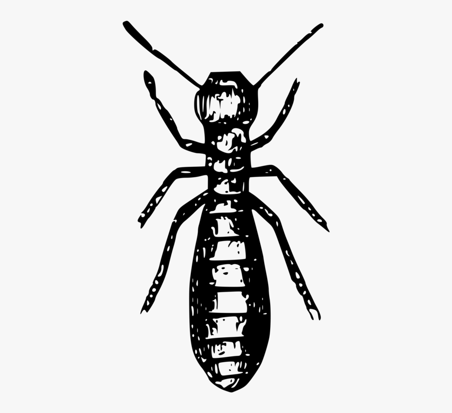 Fly,monochrome Photography,artwork - Termite Black And White, Transparent Clipart