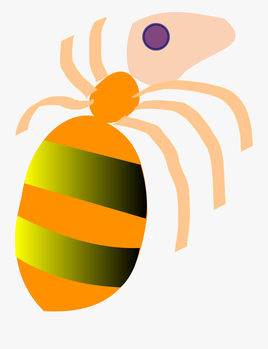 Ant Clip Arts - Ant, Transparent Clipart