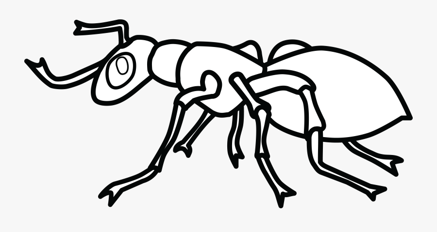 Transparent Ant Clip Art - Line Art, Transparent Clipart