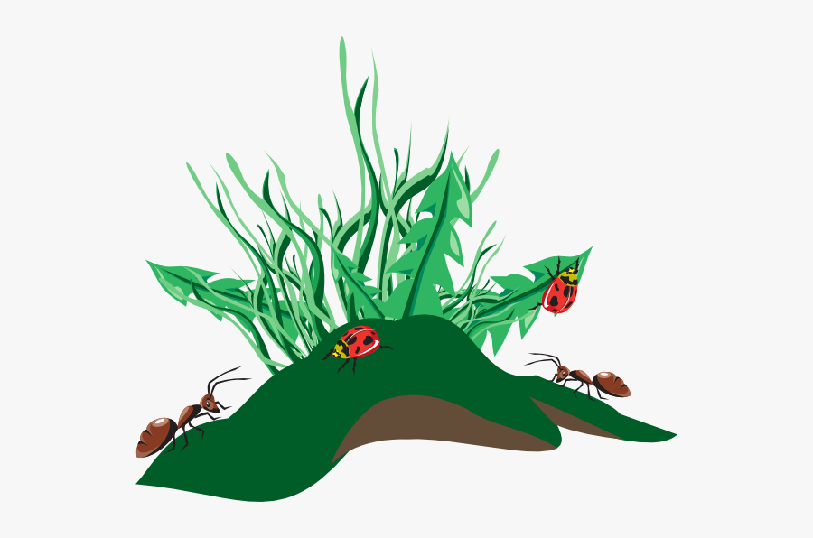 Ants Clip Art, Transparent Clipart