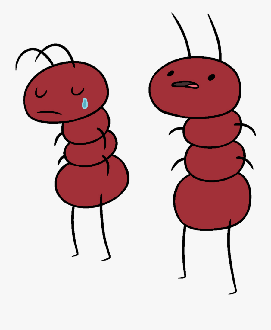 Adventure Time With Finn And Jake Wiki - Ants From Adventure Time, Transparent Clipart