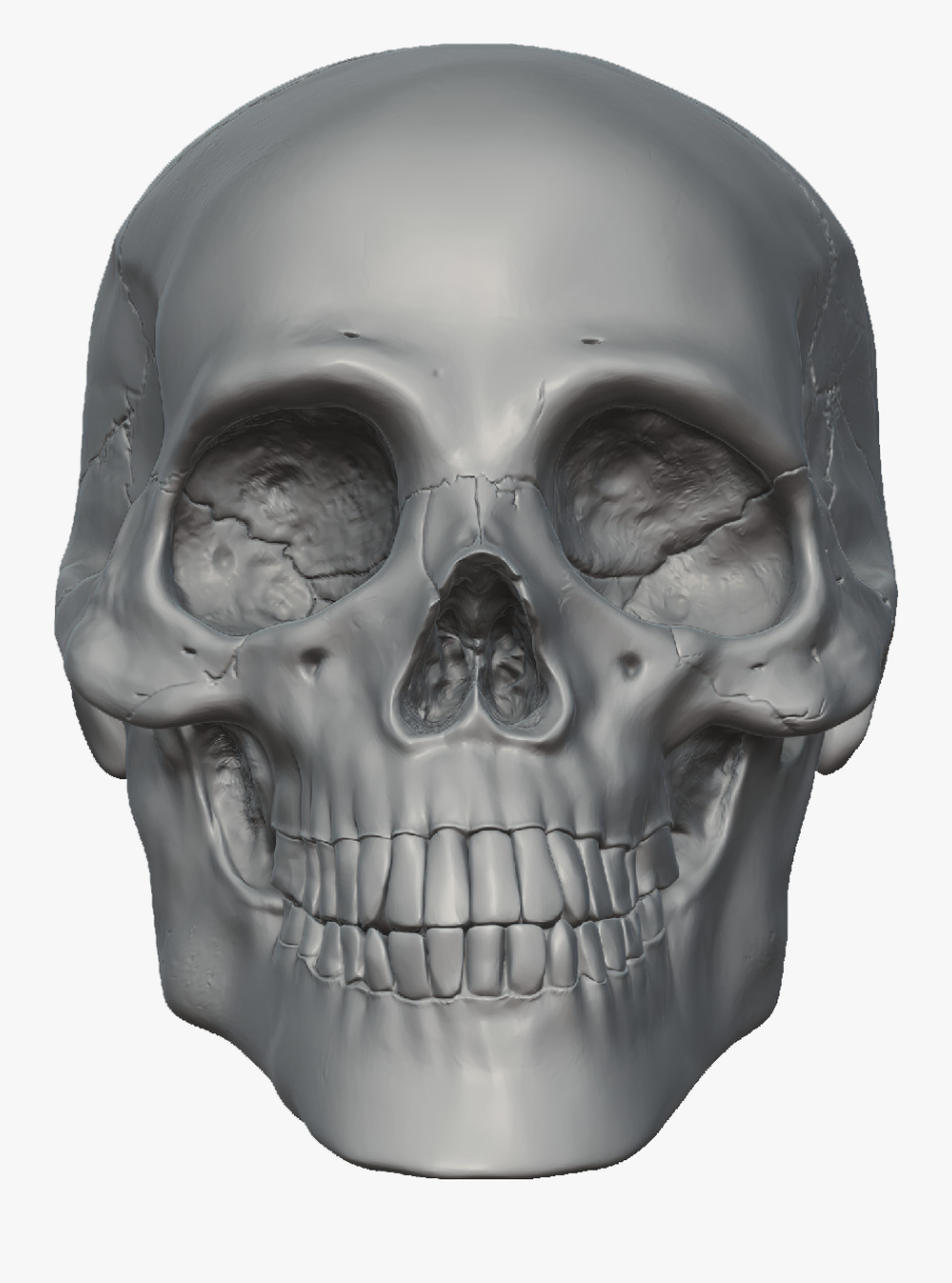 Scary Scull Clip Art - 3d Skull Png, Transparent Clipart