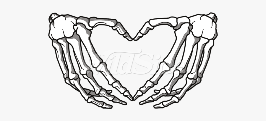 Collection Of Free Fist Drawing Skeleton - Hand Holding Skeleton Hand Vector, Transparent Clipart