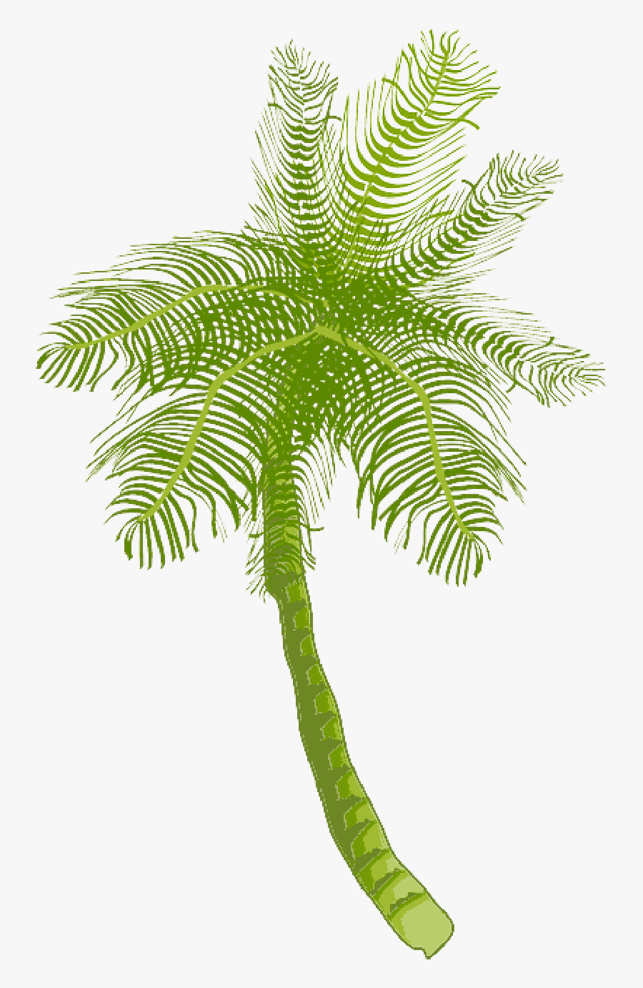 Tree, Ocean, Summer, Vacation, Beach, Palm Leaf - Coconut Tree Clip Art, Transparent Clipart