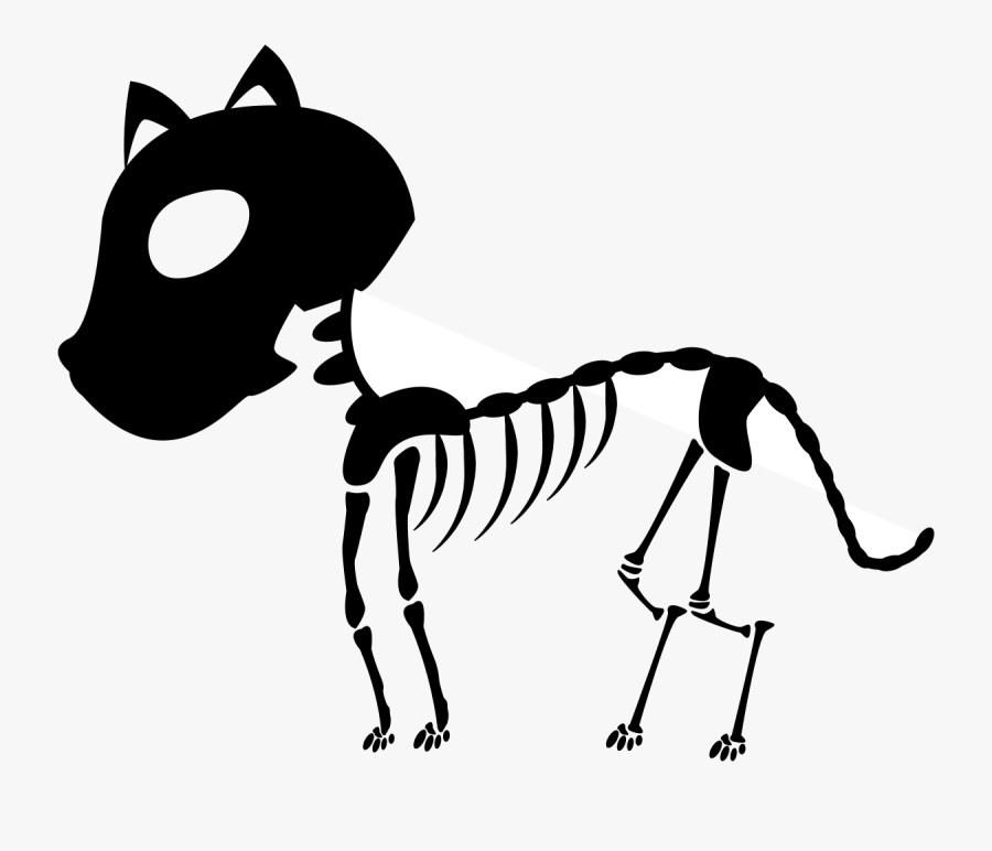 Free Skeleton Clipart Black And White Images Free Download - Skeleton Of Animals Drawing Cartoon, Transparent Clipart