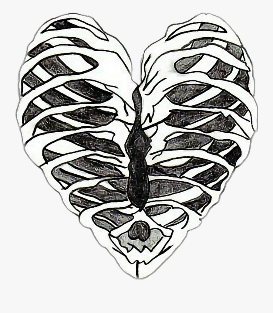 #heart #skull #skeleton #ribs #love #dead #aesthetic - Skeleton Heart, Transparent Clipart