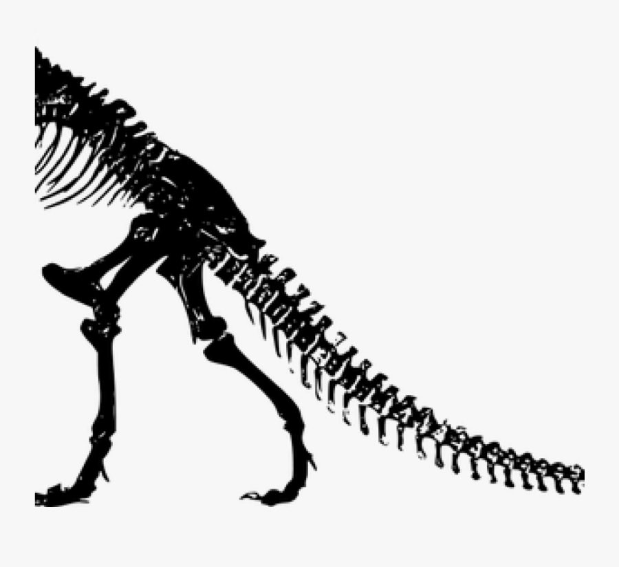 Dinosaur Skeleton Clip Art 386 Dinosaur Skeleton Clip - Silhouette T Rex Skeleton, Transparent Clipart