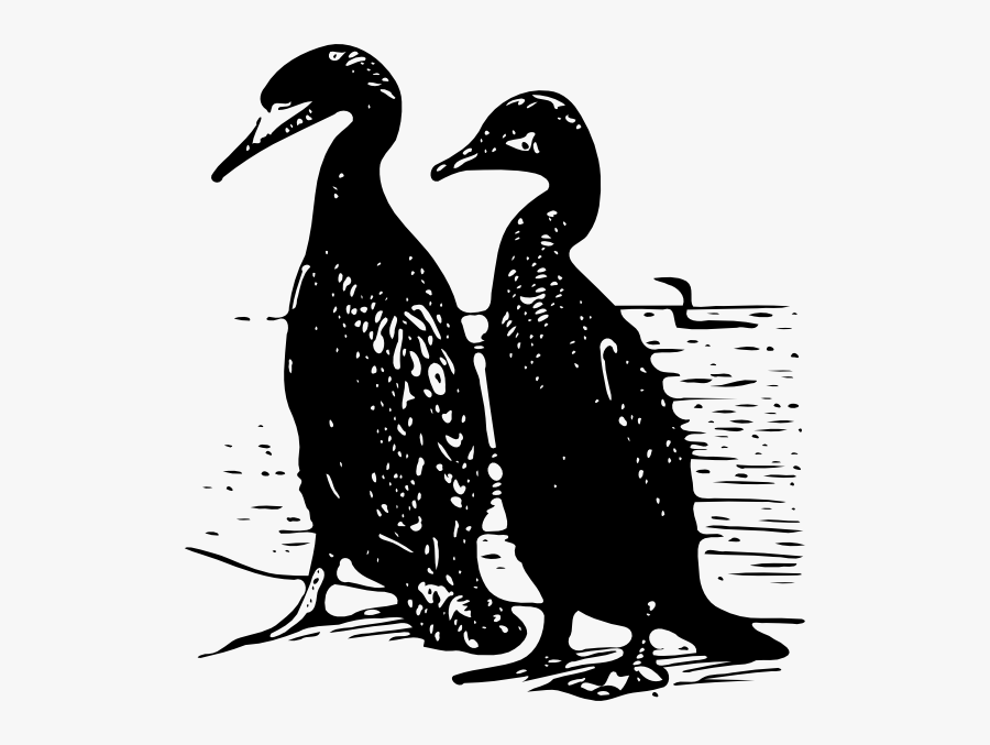 Free Vector Walking Ducks Birds Clip Art - Png Karabatak Kuşu, Transparent Clipart