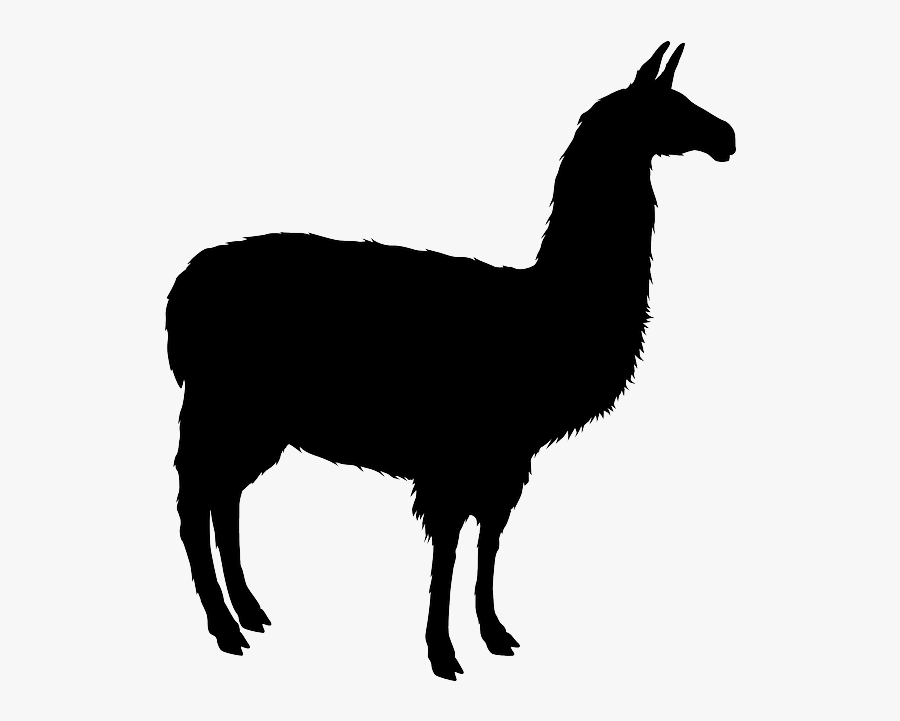 Llama Alpaca Silhouette Clip Art - Llama Silhouette Png, Transparent Clipart