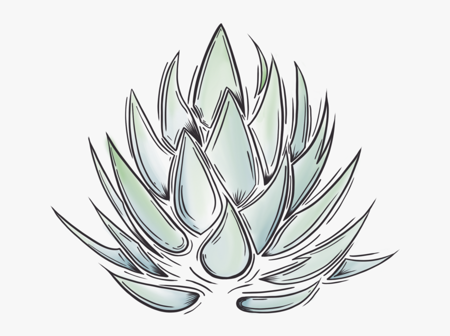 Mexican Clipart Tequila Download - Portable Network Graphics, Transparent Clipart