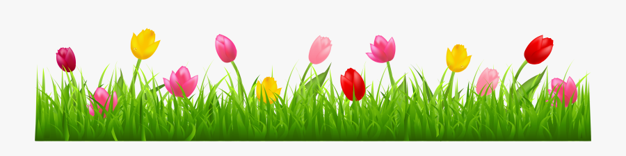 Spring Tulips Clipart, Transparent Clipart