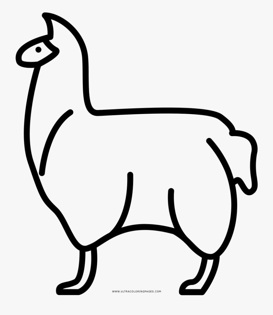 Llama Coloring Page - Coloring Book, Transparent Clipart