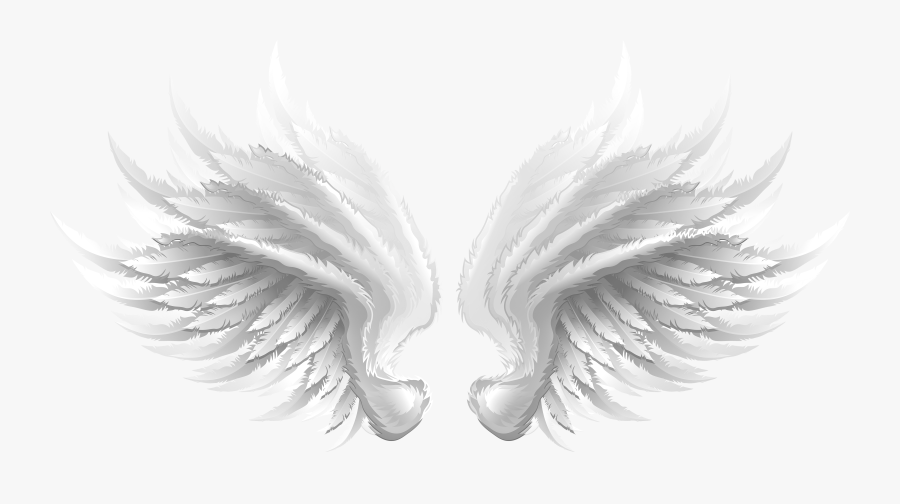 Transparent Wings Png - Portable Network Graphics, Transparent Clipart