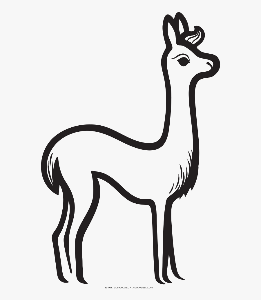 Llama Coloring Page - Deer, Transparent Clipart