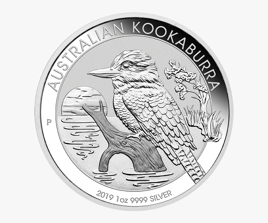2019 10 Oz Kookaburra, Transparent Clipart