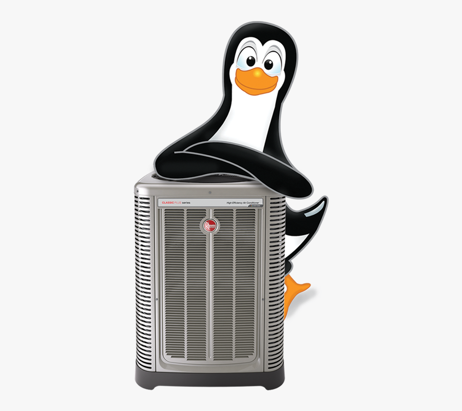 Penguin, Transparent Clipart