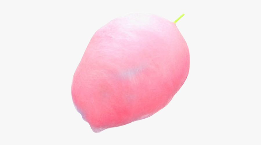 Yam, Transparent Clipart