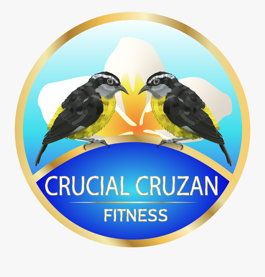 Sticker, Transparent Clipart