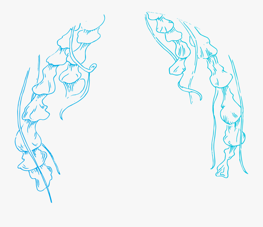 Studio - Drawing, Transparent Clipart
