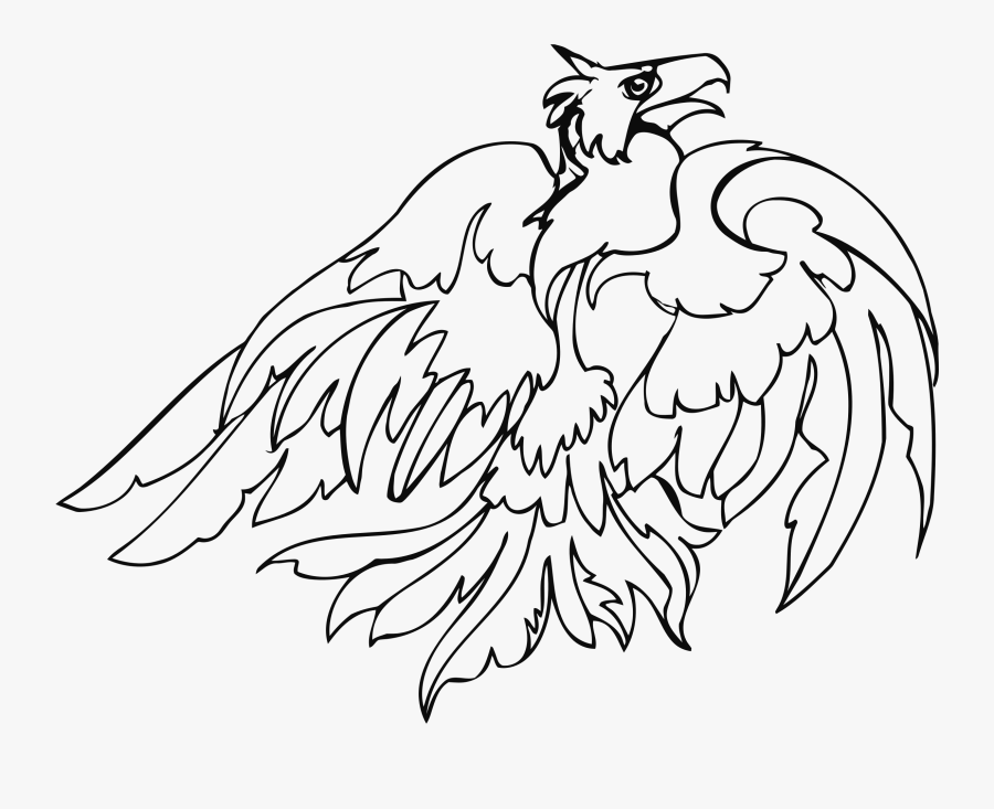 Bird Of Prey Clipart Line Art - Line Birds Of Orey Drawing, Transparent Clipart