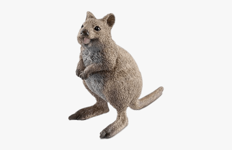 Quokka Figurine - Schleich 2019 Quokka, Transparent Clipart