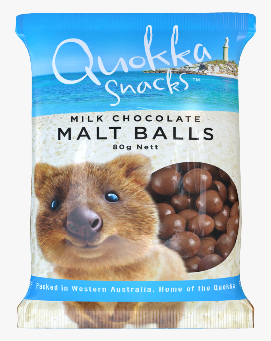 Transparent Quokka Png - Rodent, Transparent Clipart